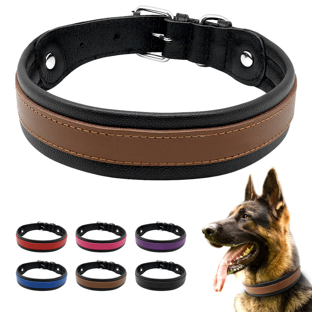 whelping collars petsmart