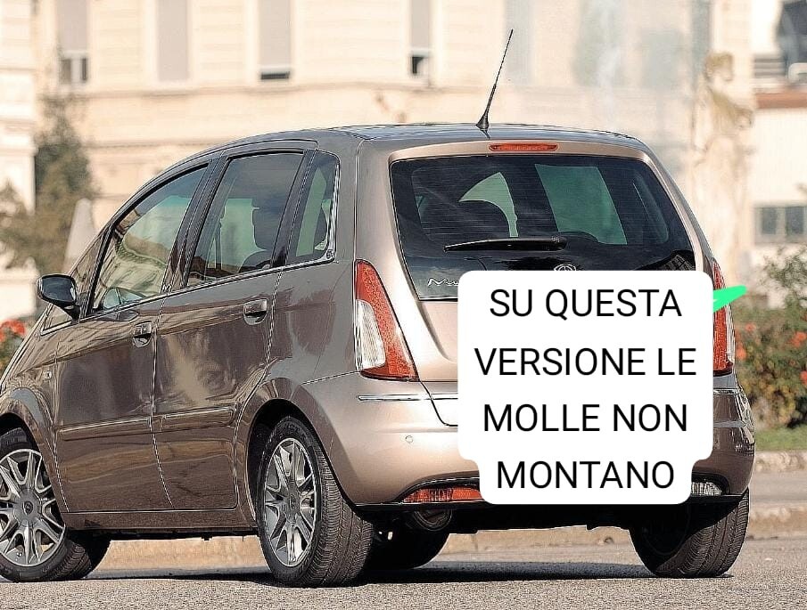 Portellone Posteriore Originale Usato FIAT IDEA 4D/2S Monovolume AZZURRO - Foto 8