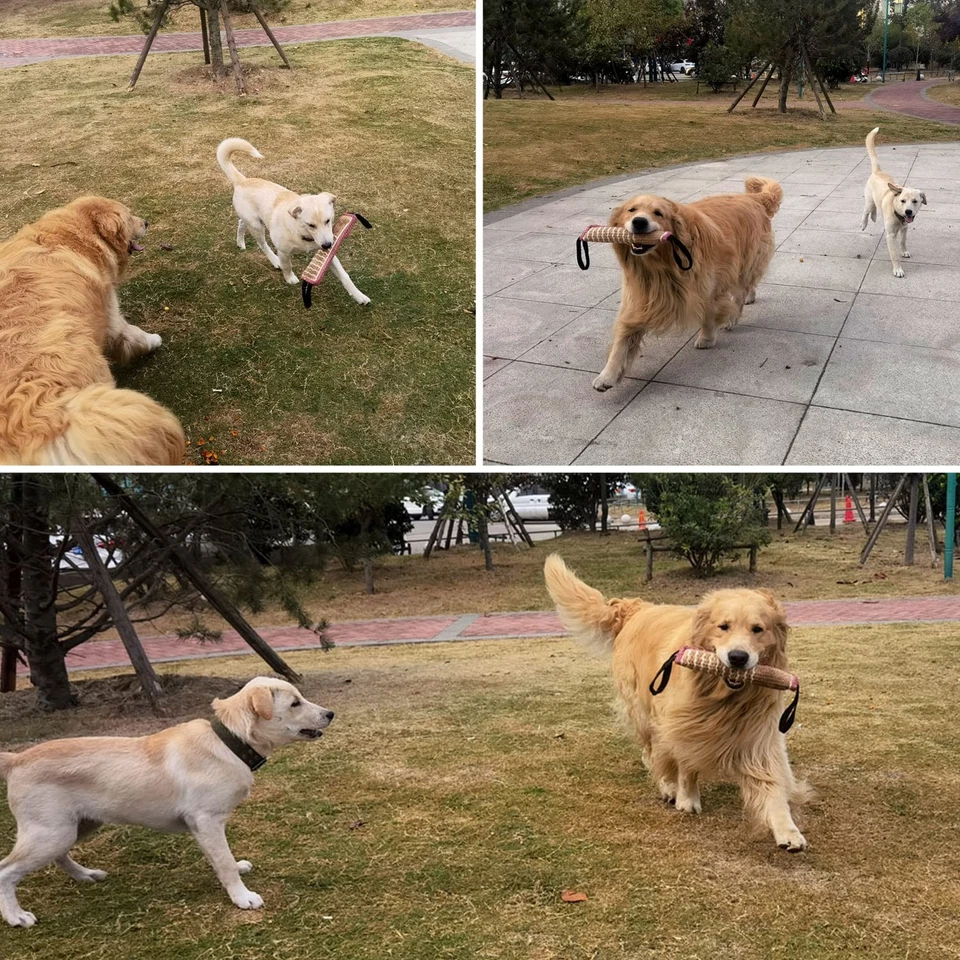 Armschutz Ärmel Hund Beissarm für Hunde mit Beisswurst Hunde Dauerhafte Jute ... - Bild 4 von 4