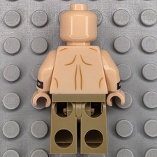 Lego DC Super Heroes Minifigure SH0396 Mutant Leader