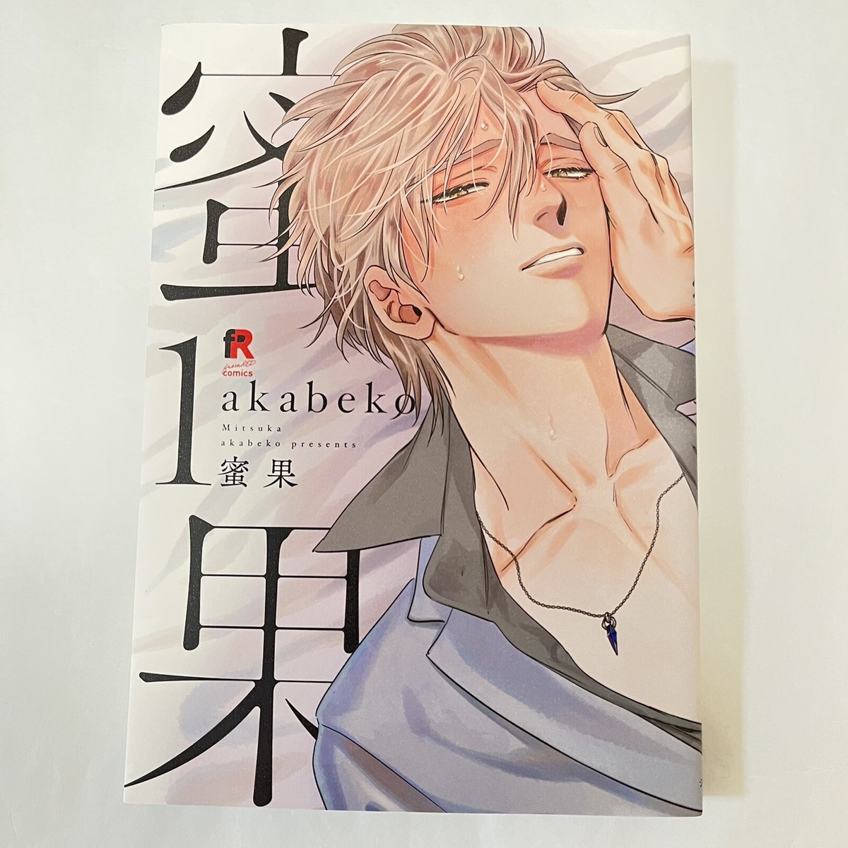 【特典】　akabeko  リーフレット  ペーパー　BL 特典】 akabeko リーフレット ペーパー BL 漫画