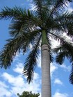 Foto 2 di 5