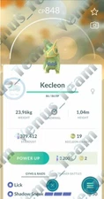 Pokémon Go ✨ Shiny Kecleon ✨ P T C 80k Dust ✨