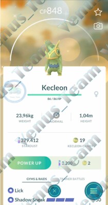 Pokémon Go   Shiny Kecleon   P T C 80k Dust  