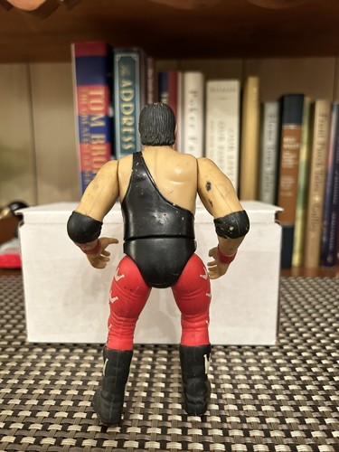 WWE WWF Jakks Bone Crunching BCA Superstars Series 4 Jerry the King Lawler - Foto 3 di 3
