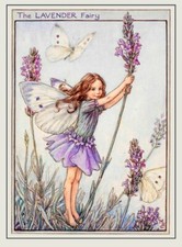 Flower Fairies Vintage Image 5 X 7 greeting card  & env The Lavender Fairy blank