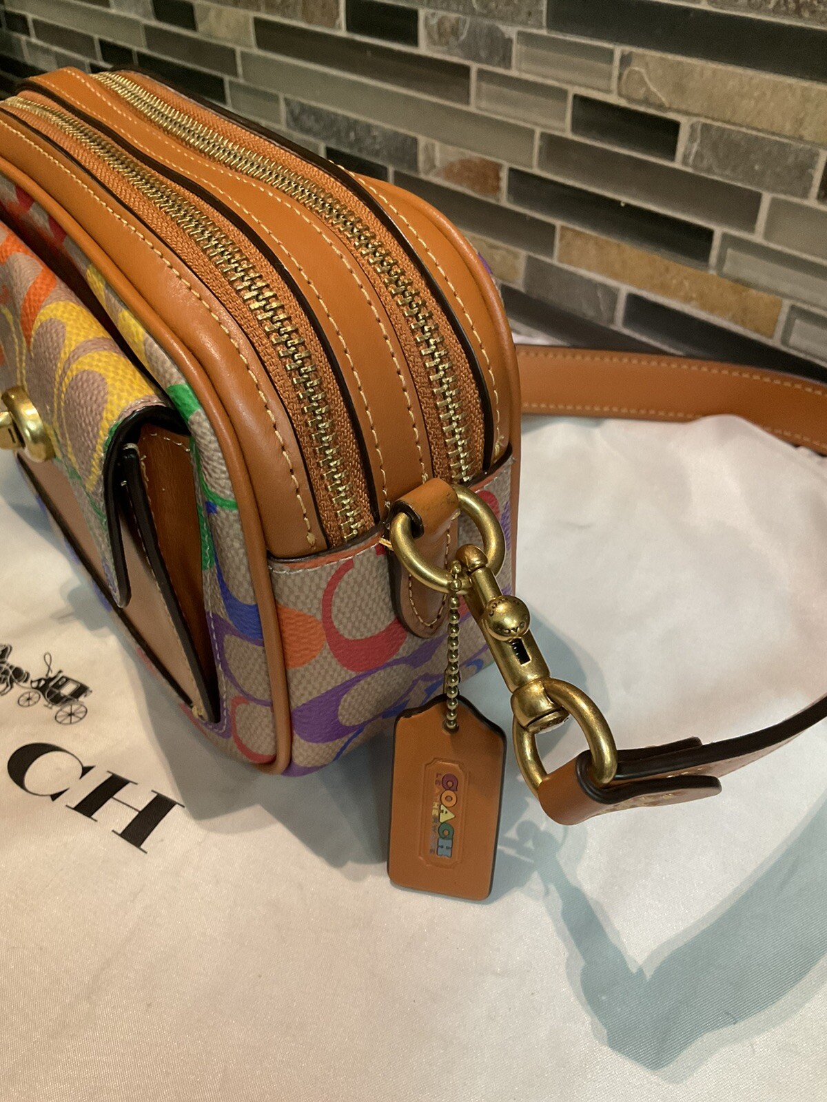 🌈Coach Willow Camera Bag PRIDE Crossbody Signature R… Gem