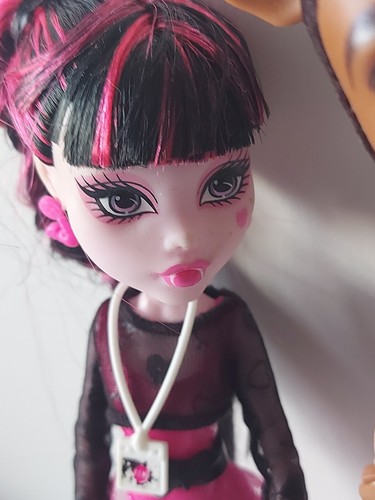 Monster High Doll Draculaura Clawd Wolf Music Festival Kmart Ex. BBR83 2013 Rare - Picture 2 of 18