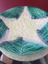 ANTIQUE MAJOLICA STARFISH 9" PLATE GRIFFIN SMITH ETRUSCAN MAJOLICA STARFISH GRT