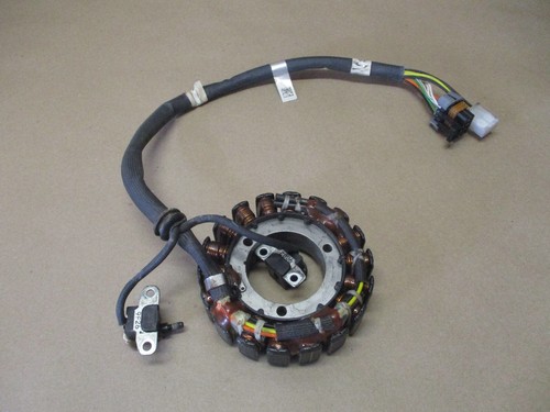 Polaris 2020 RMK 600 144 Ignition Stator Rush Switchback Assault 18 19 20 - 第 1/1 張圖片