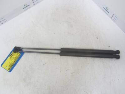 GASDRUCKFEDERN SET HINTEN Peugeot 207/207+ (WA/WC/WM) 2008 9650780480 / 8731LZ
