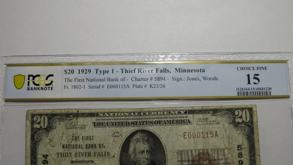 $20 1929 Thief River Falls Minnesota National Currency Bank Note Bill #5894 PCGS - Image 2 of 4