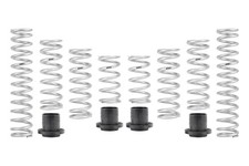 Eibach PRO-UTV Stage 1 Spring Kit E85-209-041-01-22 Polaris RZR PRO XP 4 New