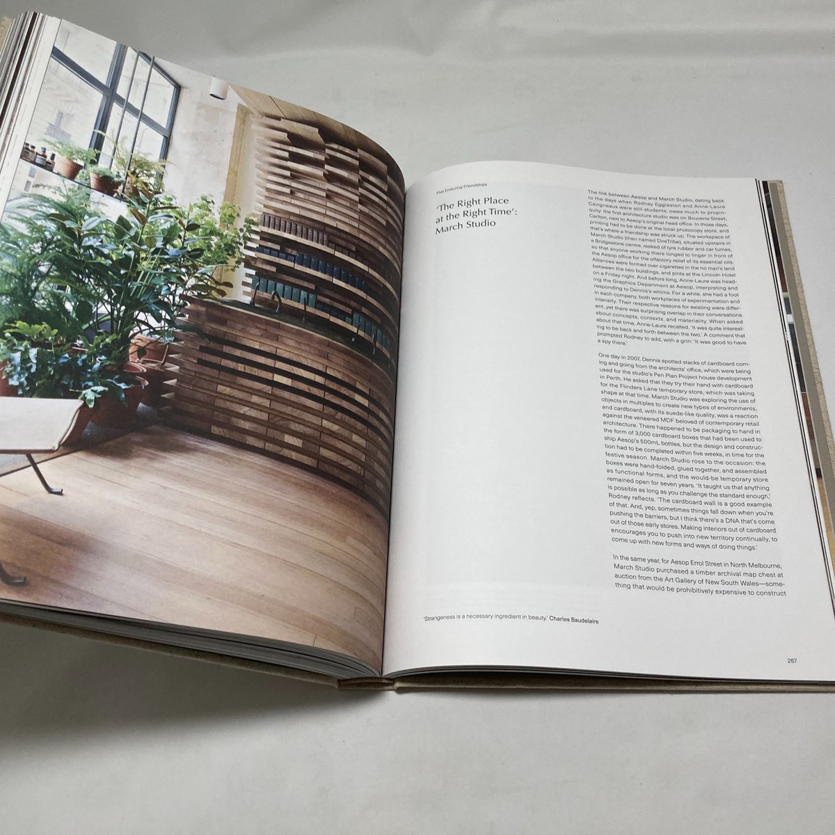 Aesop the book Hard Cover Rizzoli Jennifer Down Dennis