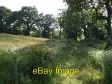 Photo 6x4 Hawkchurch Bridleway 14 Fishpond Bottom The bridleway close to  c2007