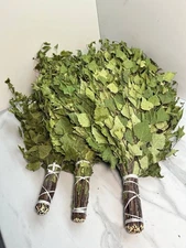 12 Birch brooms NEW SEASON 2025 sauna banya venik Eiche whisks eco Ukrainian