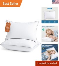 Oeko-Tex Certified Queen Bed Pillows 2 Pack - Elegant Support for All Sleepers