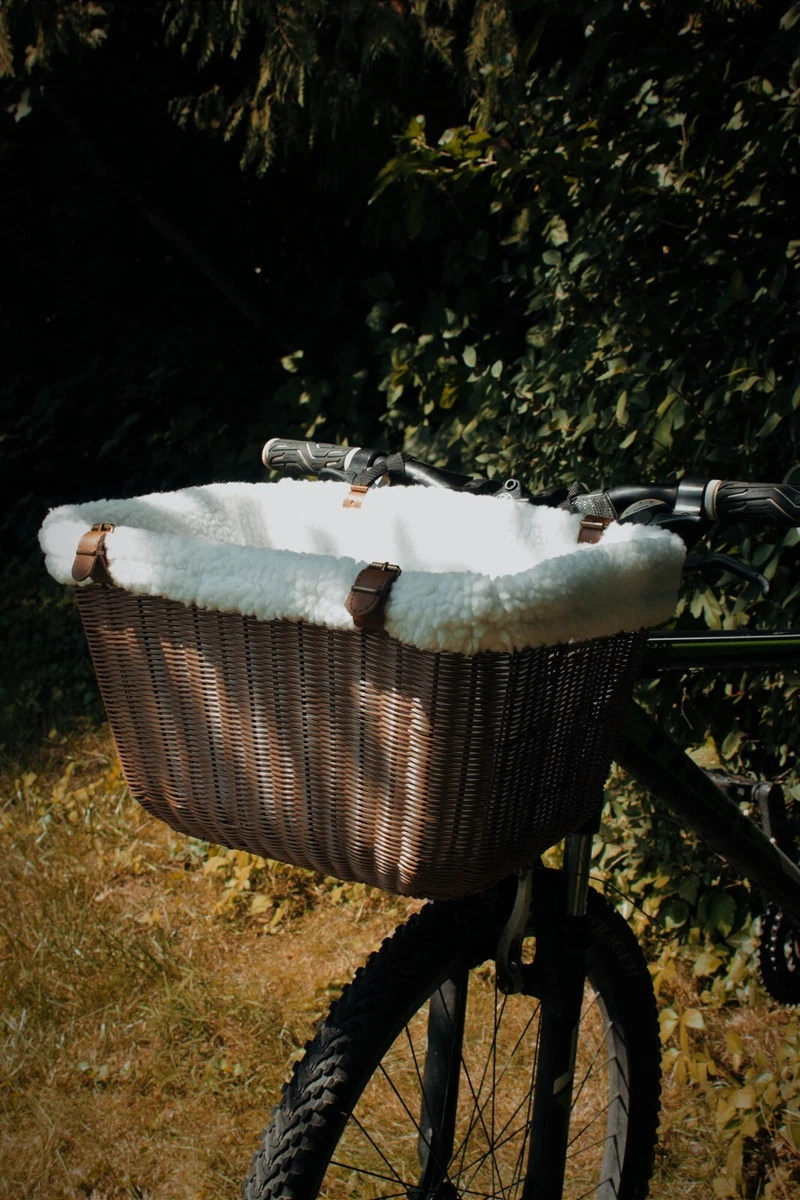 Pet Safe Happy Ride wicker bycicle basket for cats and dogs up to 13 pounds