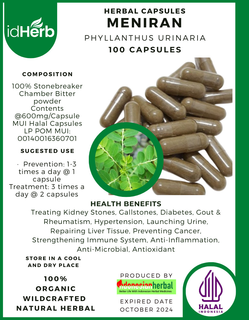 Capsule Fresche Meniran Phyllanthus Urinaria Bio foto 3