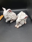 Picture 5 of 22