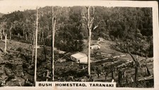 Cigarette Card WD & HO Wills New Zealand # 2 Bush Homestead Taranaki