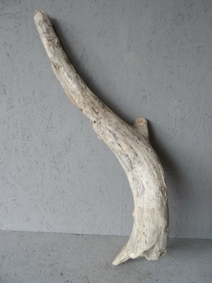 Treibholz Treibgut Schwemmholz Diy Ast Design Dekoration Xxl Stamm Basteln 70cm Ebay