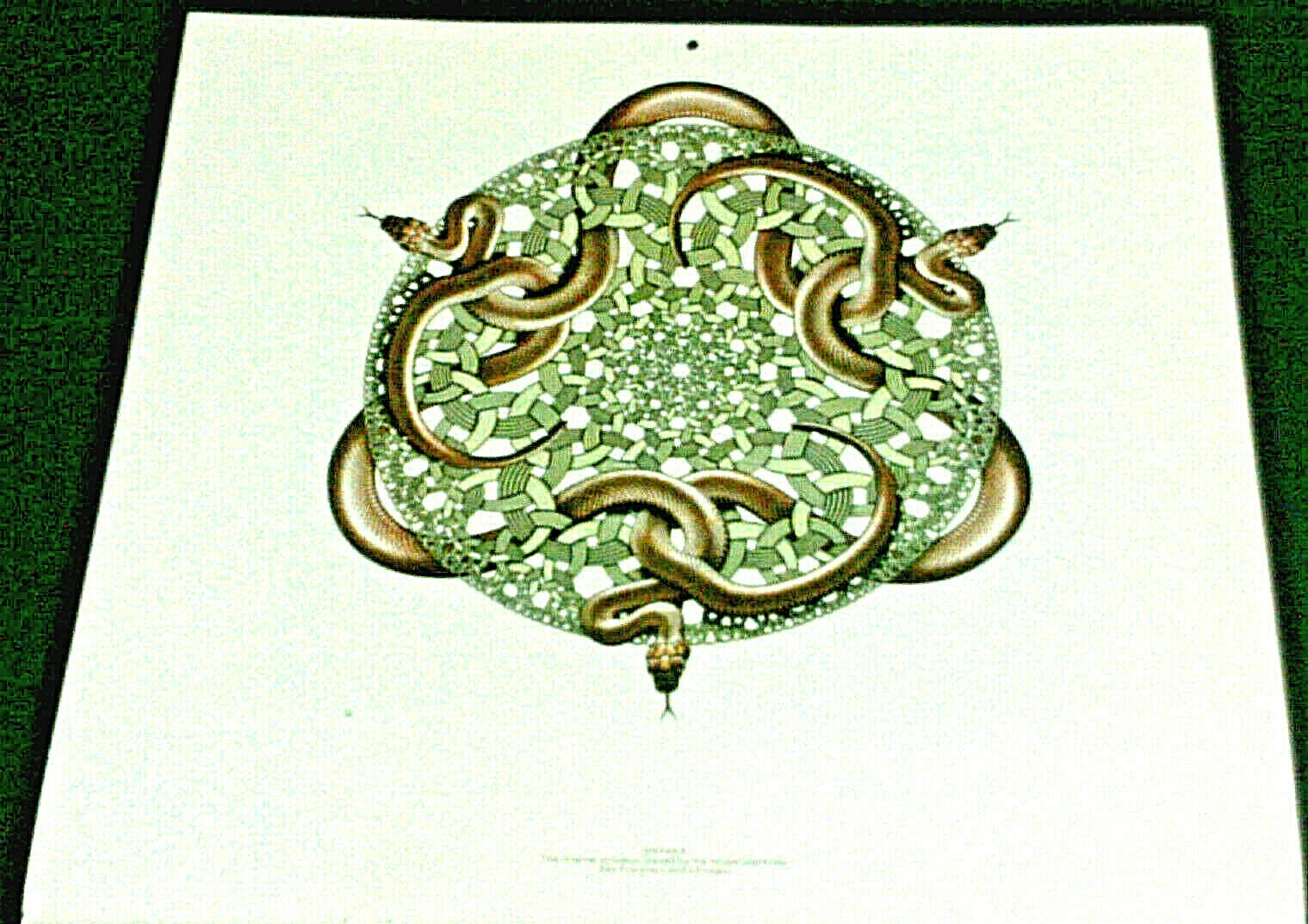 1975-m-c-escher-calendar-print-snakes-ebay
