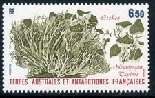 TIMBRE T.A.A.F. / TERRES AUSTRALES NEUF  N° 126 ** FLORE ANTARTIQUE 