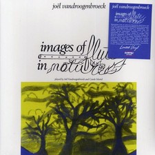 VINYL Joel Vandroogenbroeck - Images Of Flute In Nature
