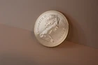 🍁Canadian🍁 1980 Elizabeth II Special Edition Silver Dollar Polar Bear