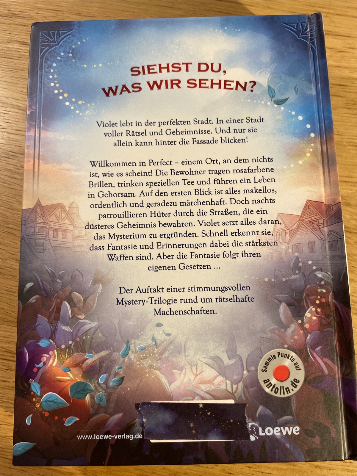 Thumbnail - Rätselhafte Ereignisse In Perfect (band 1) - Hüter Der Fantasie Von