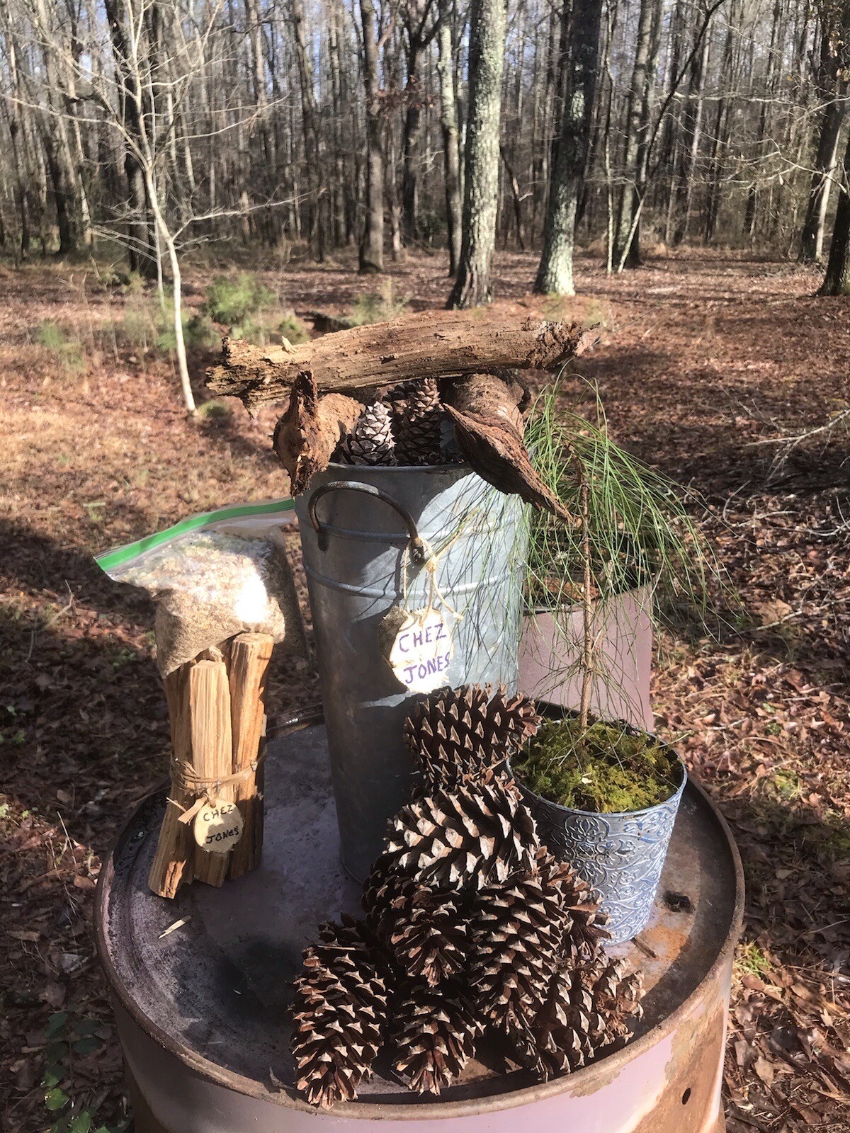 Gift Bundle. Firewood Kindling Fuel