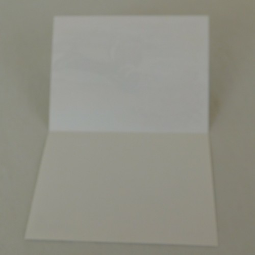 Lot of 5 Blank Note Greeting Cards Fall & Winter Birds Snowy Owl Pheasant Duck - Picture 12 of 12