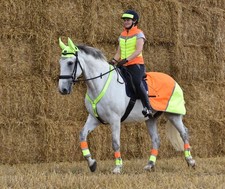 Equisafety Multi Coloured Leg Boots yellow and orange pony