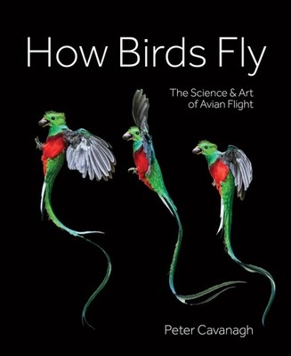 How Birds Fly: The Science and Art of Avian Flight by Peter Cavanagh