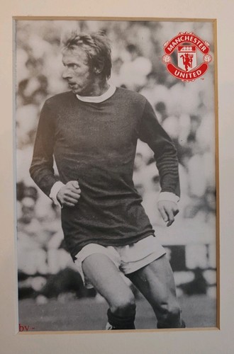 DENIS LAW MANCHESTER UNITED FIRMADO 17" X 9.5" MONTADO FUTBOL EXHIBICIÓN CERTIFICADO DE AUTENTICIDAD SPT - Imagen 9 de 20