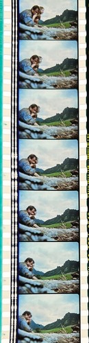 Jurassic Park 1993 Very Rare Unmounted 35mm Film Cells - Steven Spielberg - Picture 123 of 142
