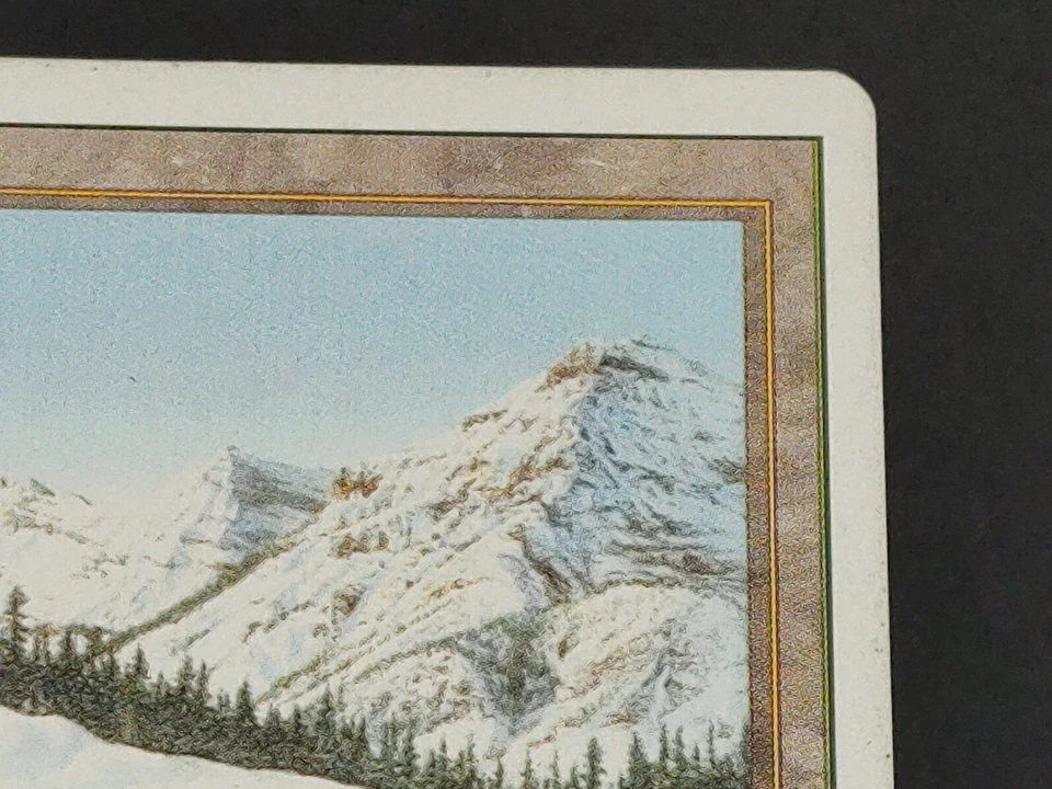 MTG Taiga Revised Edition Regular Rare Light Play - Image 4 of 4