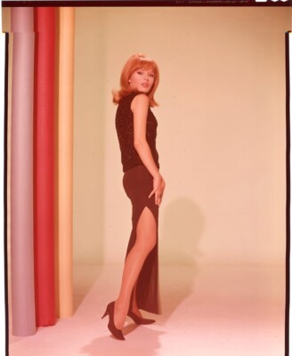 Marianna Hill Btreathtaking Leggy Glamour Pin Up 1965 Original 8x10