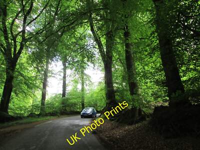 Photo 6x4 The  road  to  Colyton  through  Sutton  Thorn Tricombe Near Ho c2015