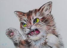 ACEO cat watercolor pencil by the author original 3,5