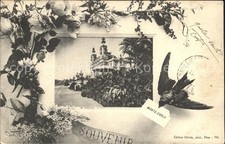 Monte Carlo Casino et les Jardins Fleurs Letter Swallow