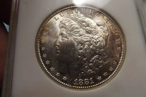 New Listing1881-S Morgan Silver Dollar NGC MS63 Undergraded Old Fatty Holder