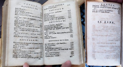 Ludovico Muratori RIFLESSIONI SOPRA BUON GUSTO nelle SCIENZE e ARTI. Napoli 1755 - Imagen 21 de 24