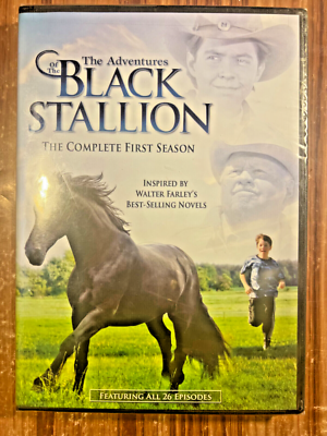 その他 Adventures of Black Stallion: First Season [DVD] The Adventures of The Black Stallion The Complete First Season DVD