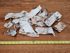 Birch Bark for Firestarters or Crafts