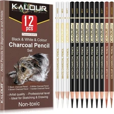 Colored Charcoal Drawing Set, 12 Pastel Chalk Pencils for Sketching and Shading