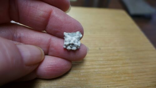 GEOLOGICAL ENTERPRISES Pennsylvanian Fossil Crinoid, Brabeocrinus christinae - Bild 2 von 5