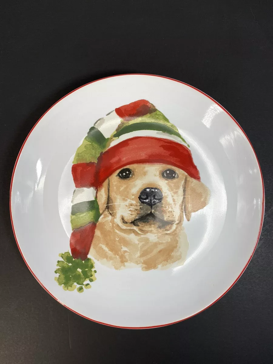 Pier 1 Yellow Lab with Stocking Cap Hat Plate 8