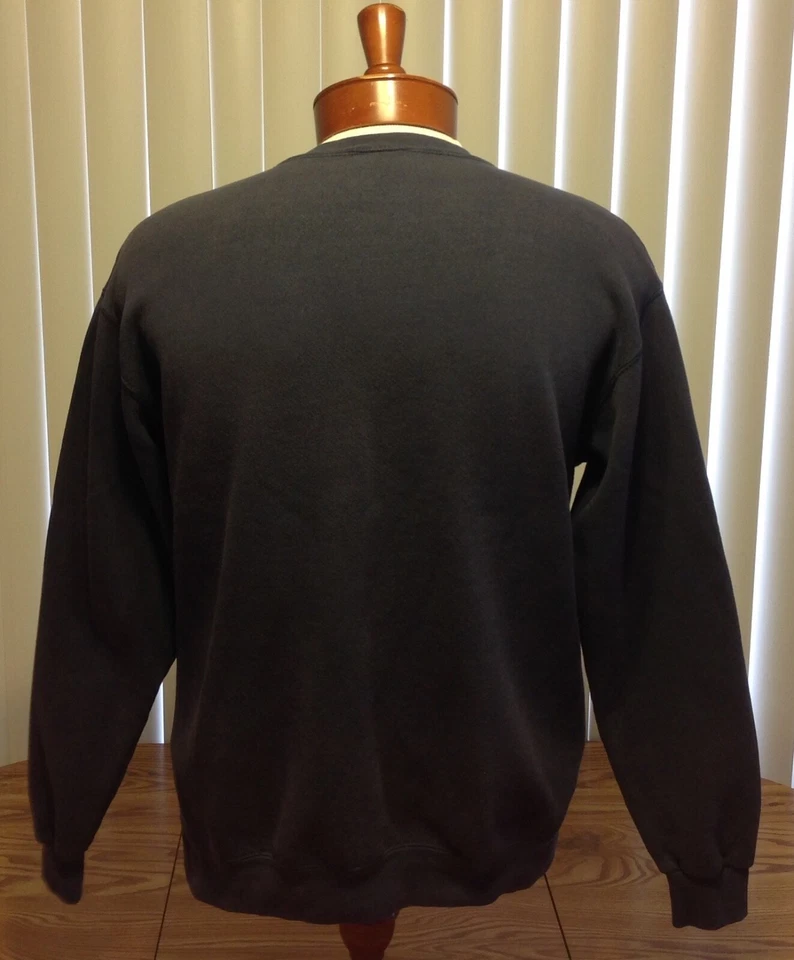 Disney Store Charachter Sudadera Tigger & Eyore Azul Pullover Mediano Foto 3 de 4